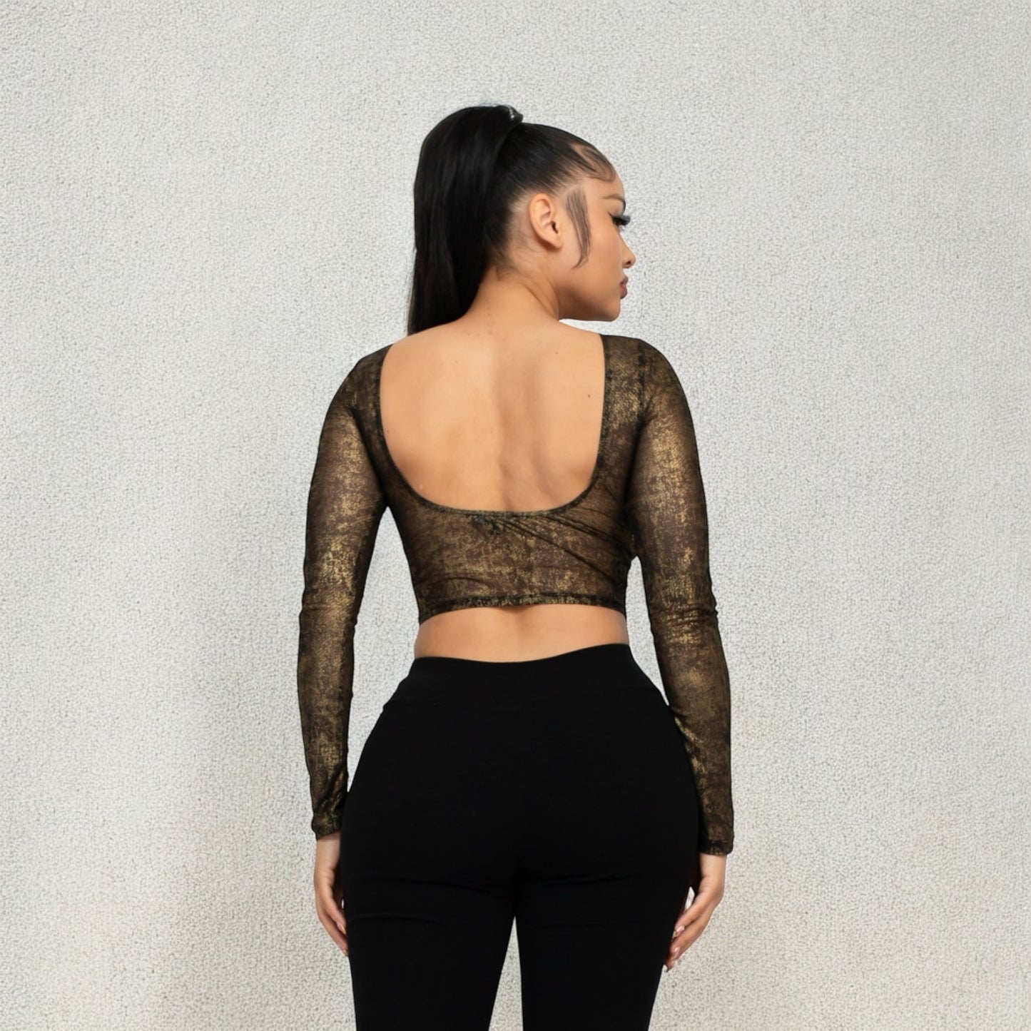 Kim Mesh Long Sleeve Crop Top - Black